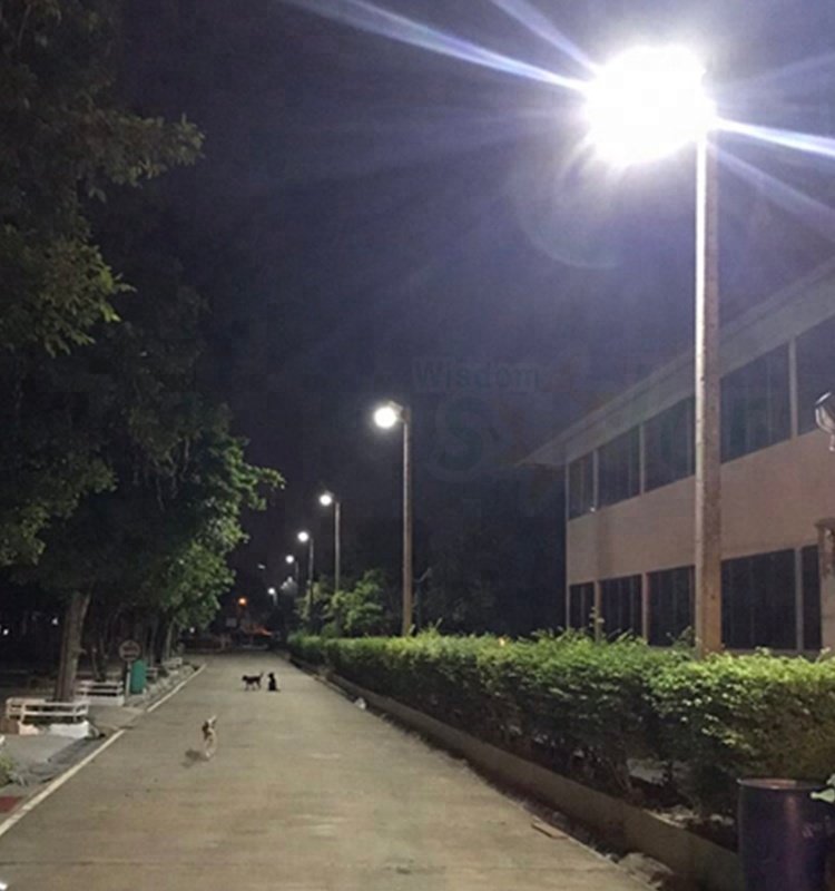 Zhongshan factory 36W 24W 15W solar led street light