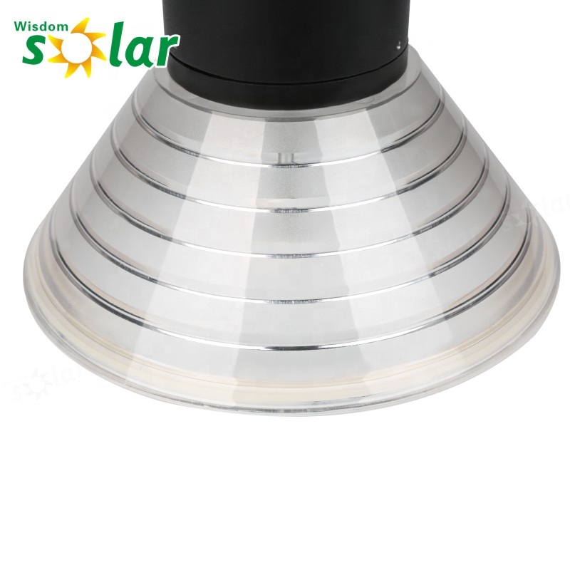 IP65 IP Rating and LED Light Source Waterproof solar led garden lamp