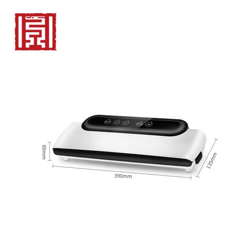 Small chamber food saver vacuum sealer packing machine korea