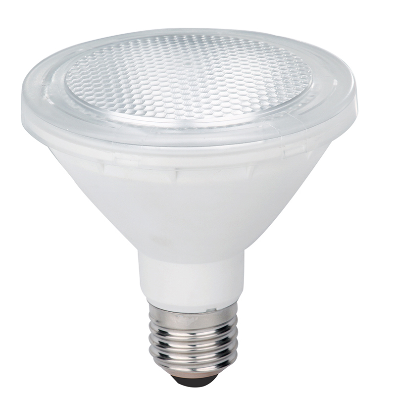 High Quality 2700K-6500K Par30 LED Lamp