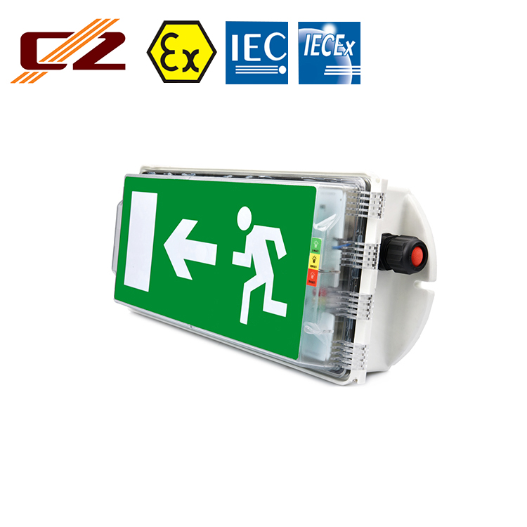 Chinese Manufacturing GRP LED Explosion Proof Lighting Emergency