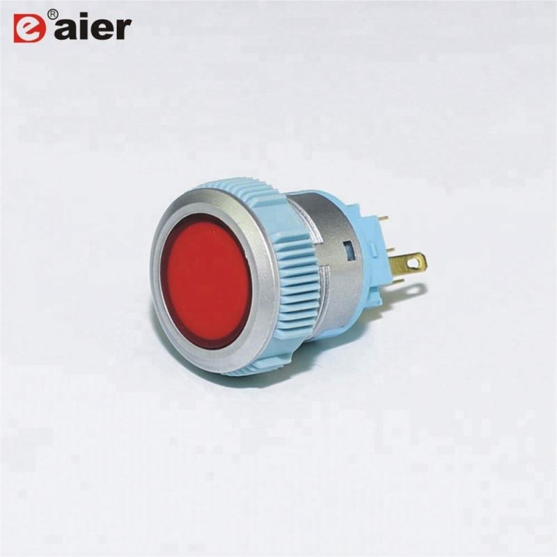 22mm Flat Button Lens Illuminated SPDT 5Pin Silver Color Plastic Waterproof Momentary Switch