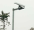 2019 hot sales solar street light  Solar Bat lamp yard light with 25W 35W 40W solar panel led solar street light