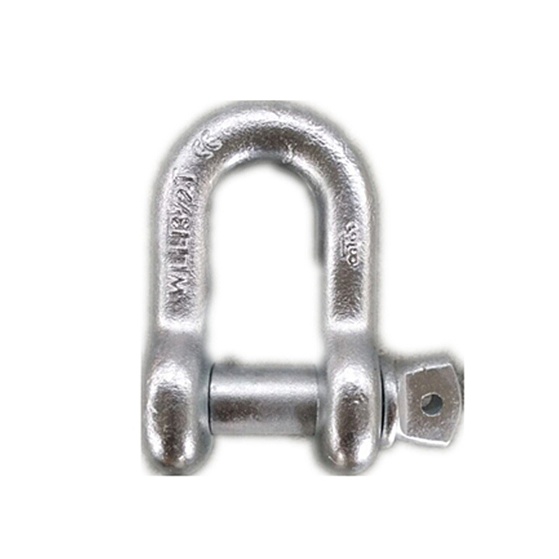 Screw pin bow shackle D type Galvanized Shackle