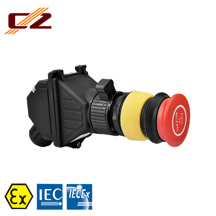 New design ATEX IECEX Full plastic Push button switch