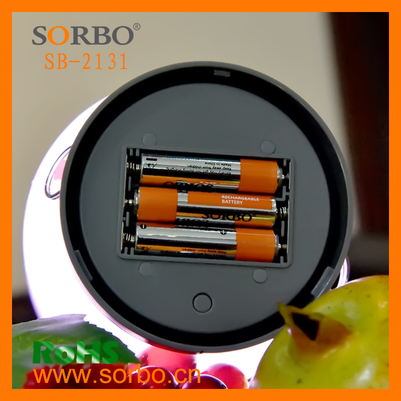 Sorbo New High Power Battery Pack Rechargeable AAA USB Battery