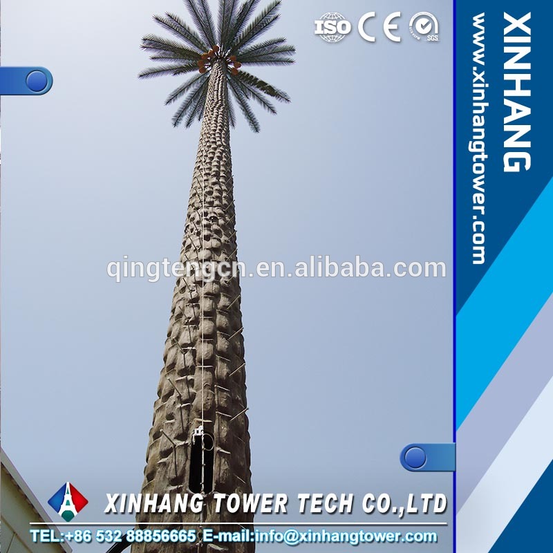 Etisalat UAE Camouflaged Palm Tower