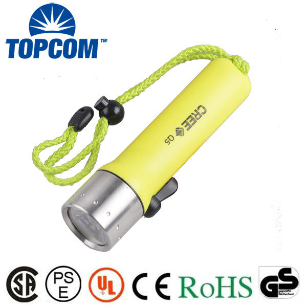 TP-50 ABS Plastic CREE XPE Q5 Diving Waterproof LED Torch