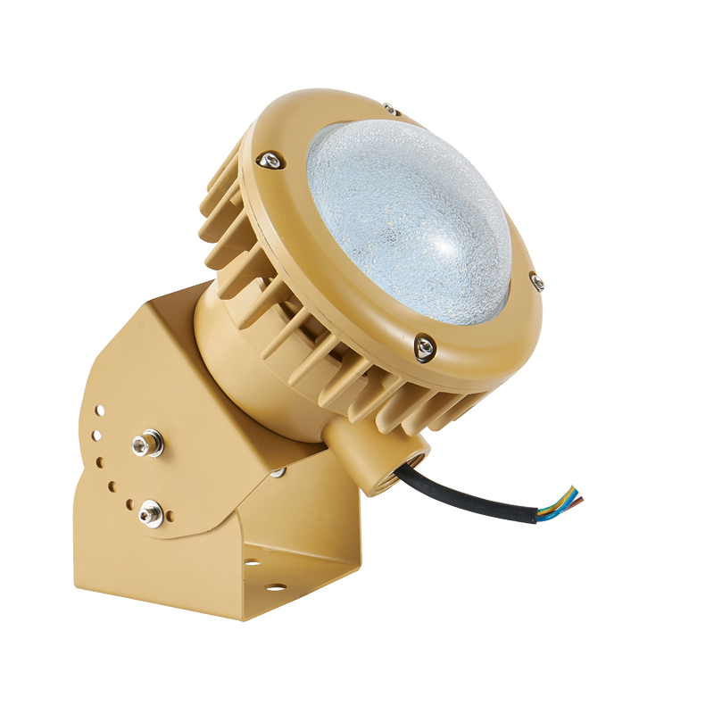 30W Led Explosion Proof Light Led Gas Station Light Factory Price Explosion Proof Lighting