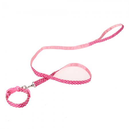 Pet collar + Leashes Suit