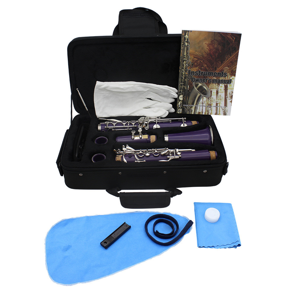 ABS 17 Key Clarinet bB Flat Soprano Binocular Clarinet with Cleaning Cloth Gloves Screwdriver Reed Case Woodwind Instrument