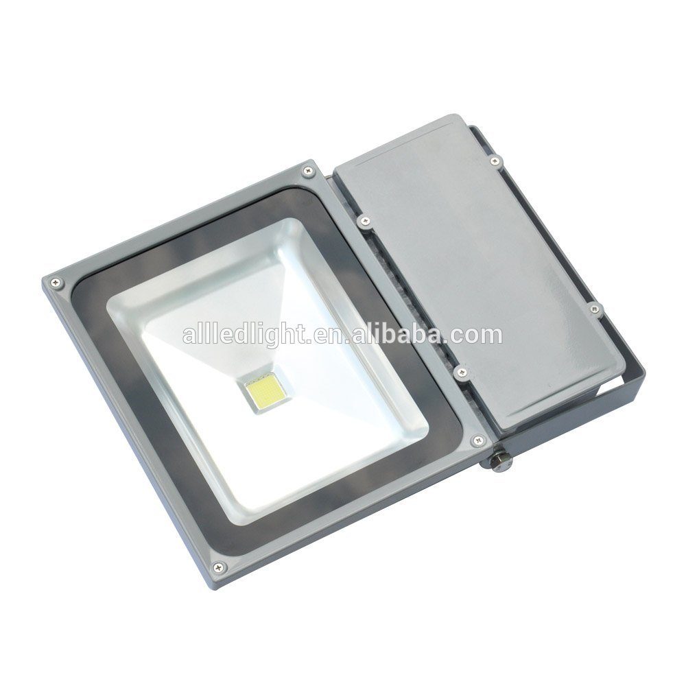 Professional Factory Supply High Efficiency Powerful led flood light100w