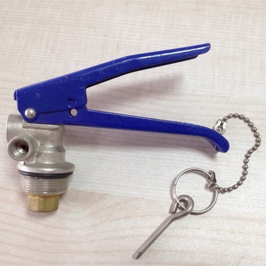 Fire extinguisher M30 blue head valve Abc fire extinguisher safety valve