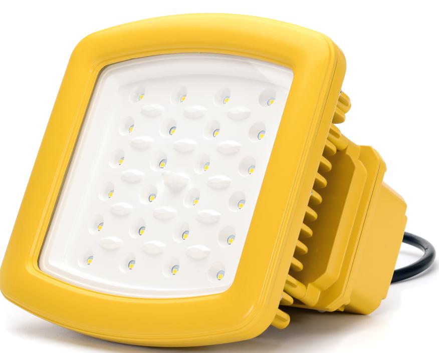 CUL ATEX IP68 20W Waterproof Led Flood Lighting for Oil Gas Station Explosion Proof Light