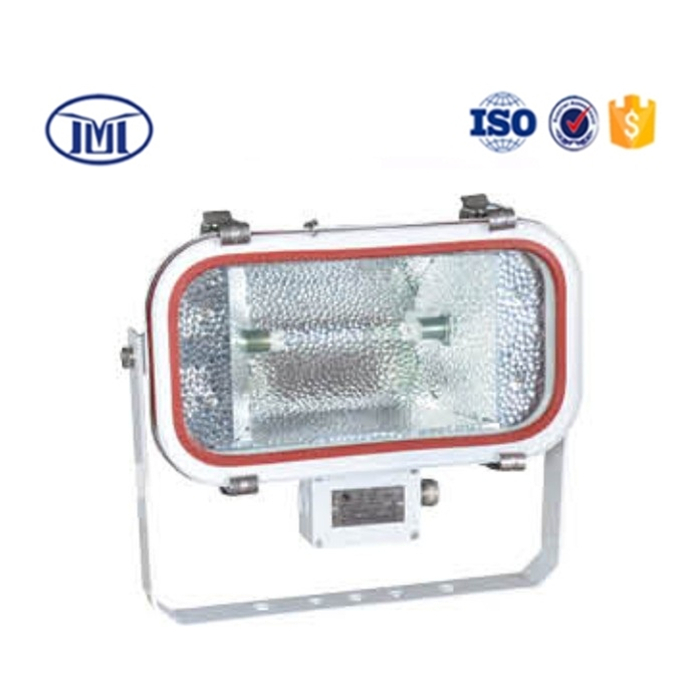 TG18(TG11)  Boat Stainless Steel High Lumen Long Lifetime Waterproof  Marine Flood Light IP67