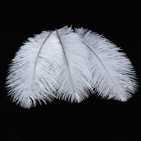 10 Pieces White Natural Ostrich Feather 20-25cm