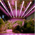 2015 Latest new design top quality manufacture LED tube plant grow light