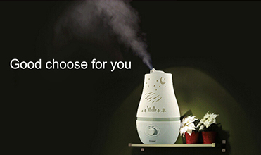 Hidly Essential Oil Diffuser Whole with Low Noise Ultrasonic Aroatherapy Humidifier