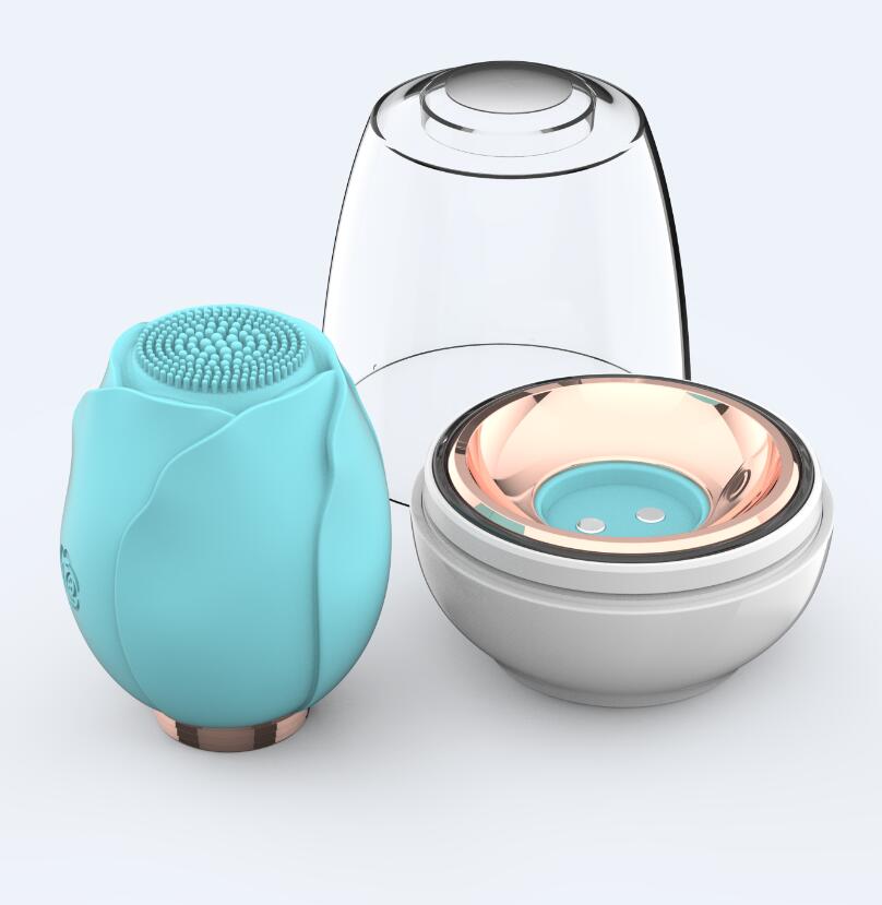 Waterproof Sonic Electric Facial Cleansing Brush and Massager