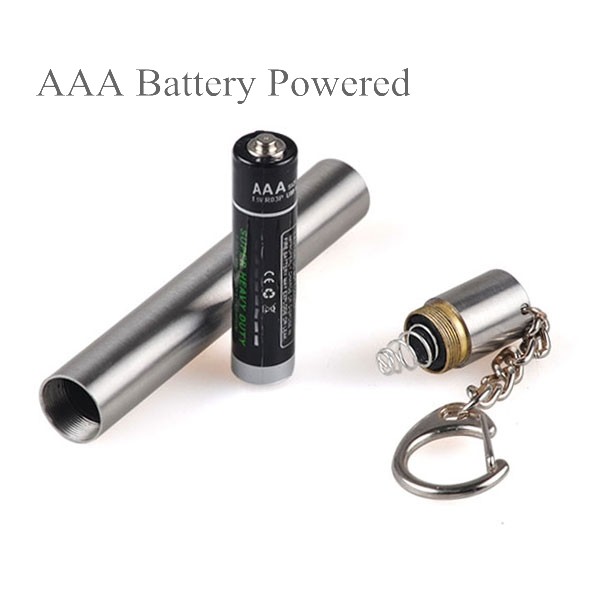 365nm Keychain UV Dental Flashlight Lowes Mini High Power UV Keychain Flashlight For Doctor