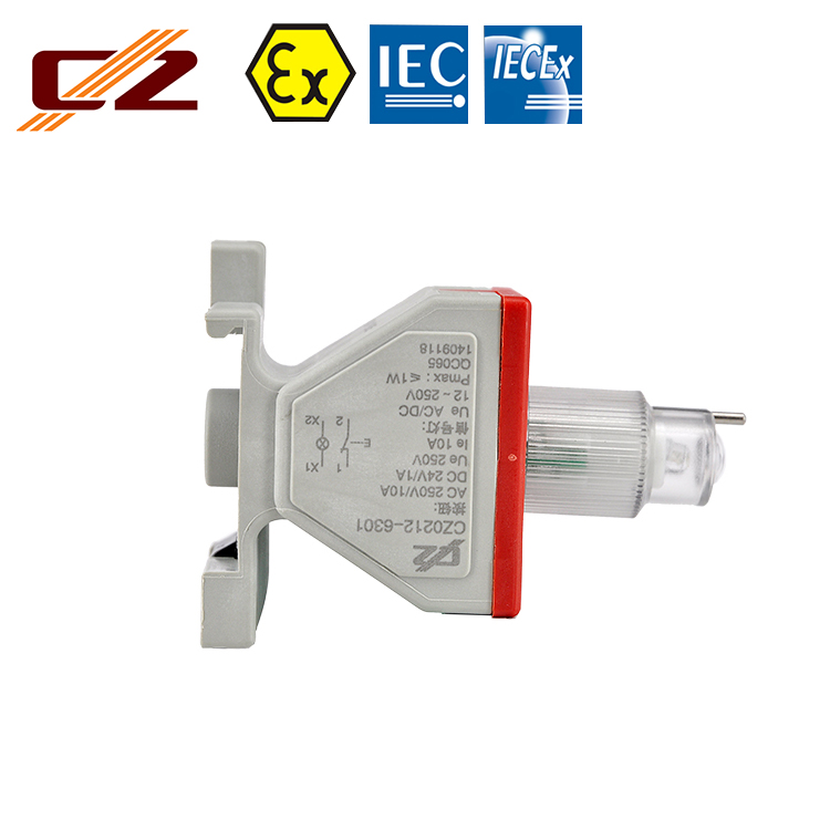 New design ATEX IECEX Full plastic Led the lamp