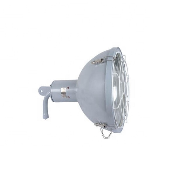 TG1-J marine steel 300 watt E40 incandescent bulb flood light waterproof outside IP55 with guard