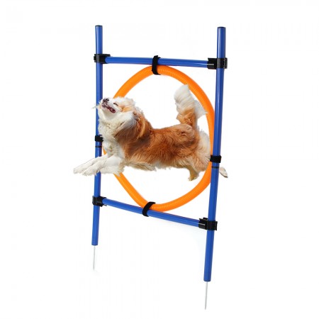 Pet Jump Training Hoop Agility Dog Thru Equipment Show Obedience Tunnel Outdoor