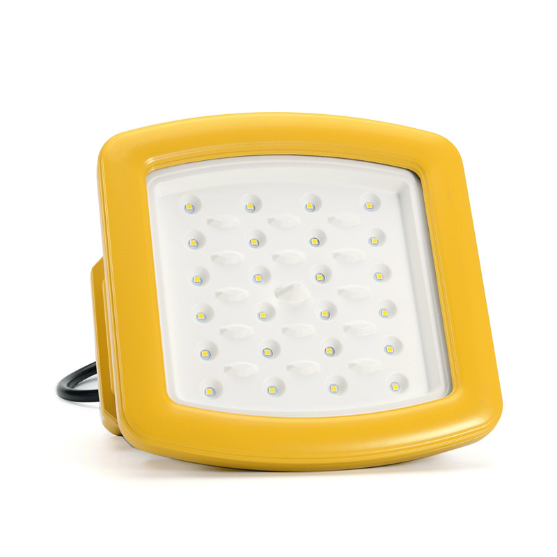 CUL ATEX IP68 30W Waterproof Led Flood Lighting for Oil Gas Station Explosion-proof Light