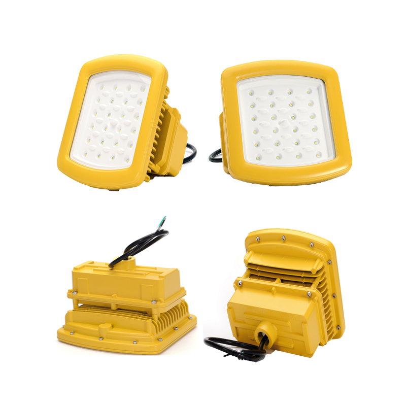 New 2019 Ex Proof Led Lights Outdoor 30W Hazardous Industrial Area Led Explosion Proof Lighting