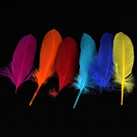 72 Pieces Craft Wild Goose Tail Wing Feather Mied Colors 12-20cm