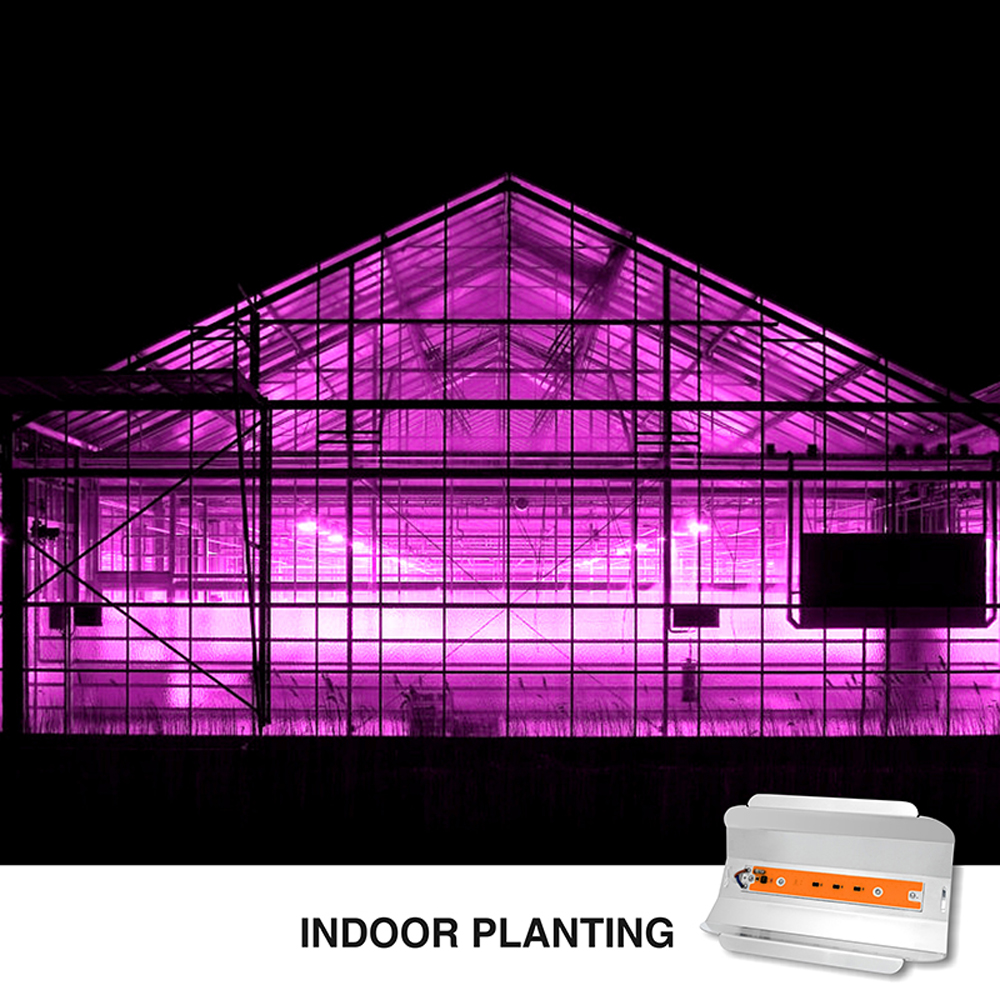 ac110v 220v 80W 50W 30W Phytolamp Lamp Led 380-780mm Grow Light Hydroponic Plant Growing