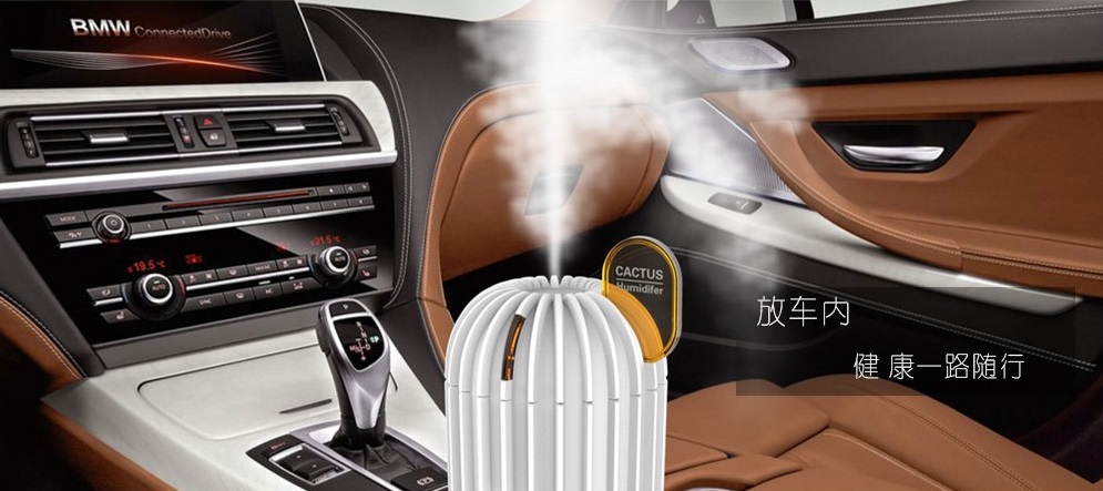 High Quality Cactus Ultrasonic Humidifier , Small Ultrasonic Greenhouse Humidifier with 5Vlotage