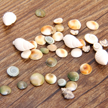 Nail Shell Conch For Acrylic Nail Art Tips Design Decoration Tool Accessories