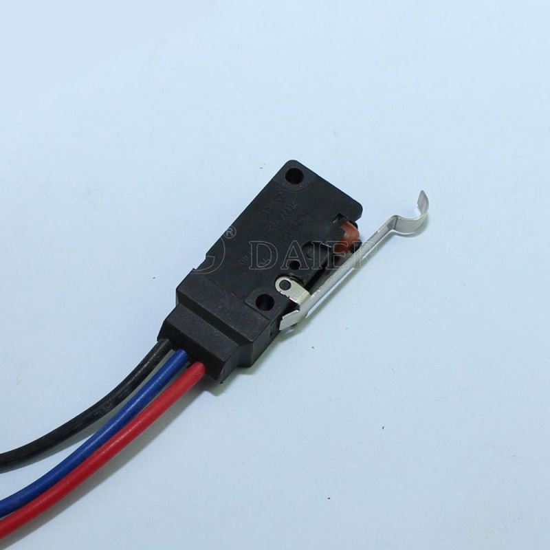 WS2 10A Single Pole ON OFF Momentary DC Micro Switch With Arc Lever