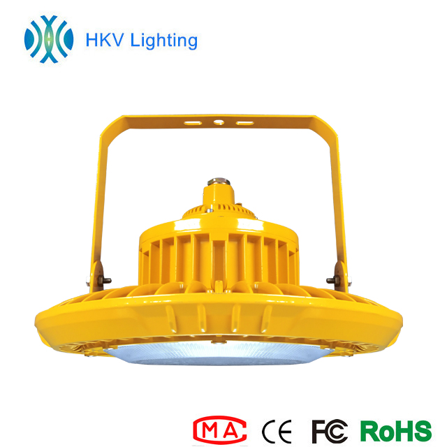 Quality Waterproof 240W for Hazardous Area Led Lighting Portable Led Lighting Explosion Proof Gas Station Lamp