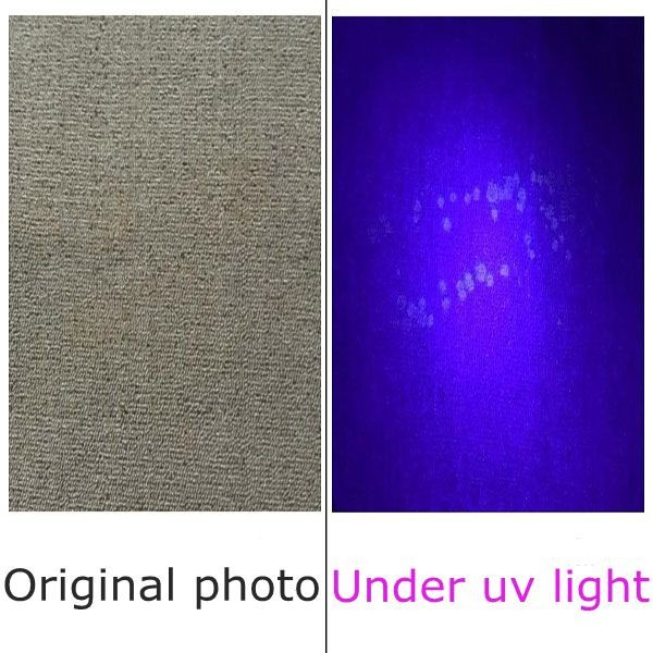 Best pet urine detector ultra violet flashlight lamp 12 led uv torch