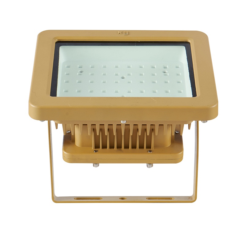 ATEX Approved High Quality 60W EX Explosion-proof Led Flood Light Lamp Fixtures