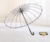 Princess Custom Print Clear Dome Transparent Umbrella