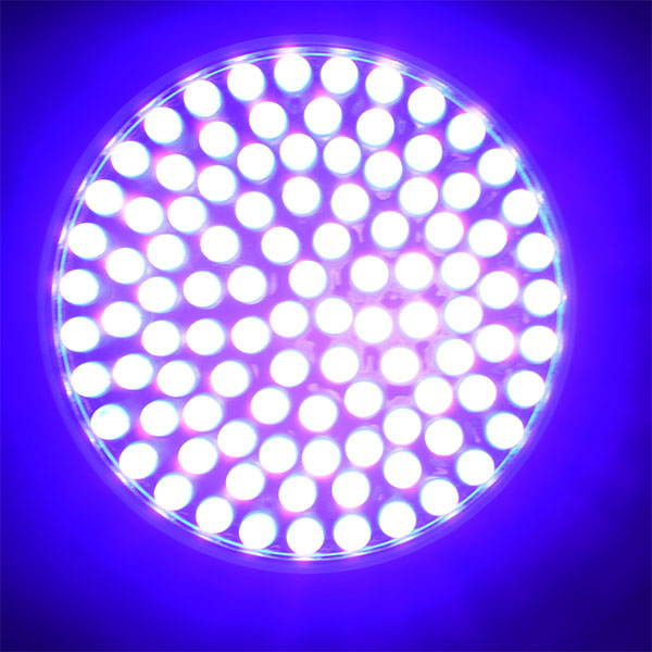 Aluminum Scorpion detector 390nm Ultraviolet Black Light 100 led light uv flashlight
