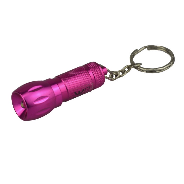 Promotional Gift Light Mini Torch Bulk Custom Logo,Small Led  Keychain Flashlight