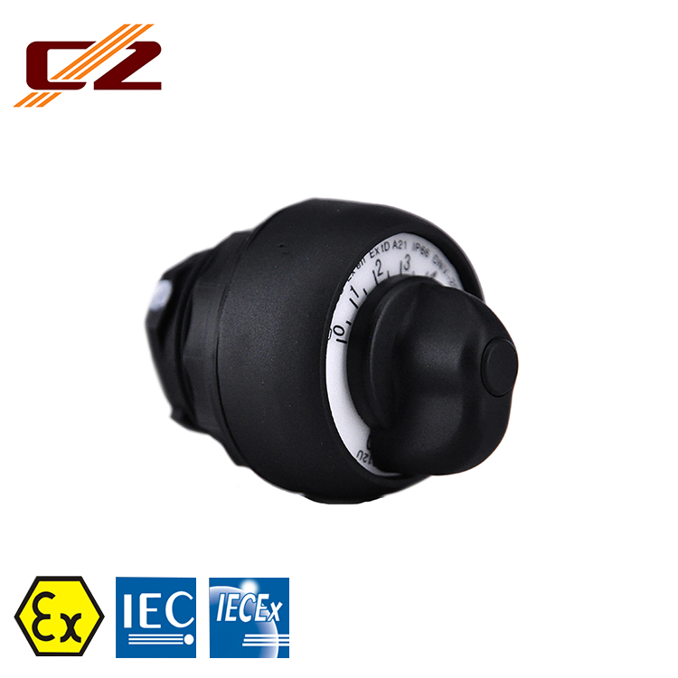 Industrial Explosion Proof Rail Mounting And Panel Mounting Potentiometer Component