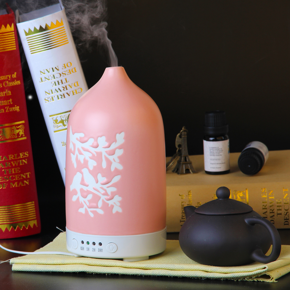 2019 Christmas Gift Essential oils Diffuser, CE ROSH 100ml Air Humidifier for Ceramic Diffuser