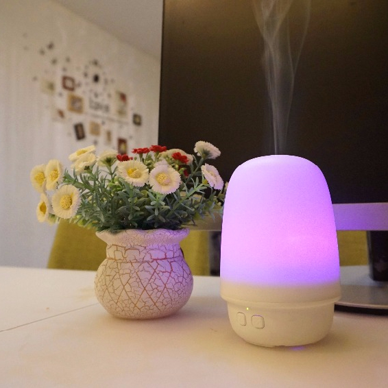 Mushroom Ultrasonic Cool Mist Aroma Humidifier with 7 Changing Colors LED Lights