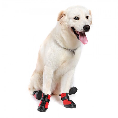 Pet dog waterproof shoes slip resistant shoes big