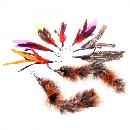 9*Bird Replacement Feathers Funny Cat Kitten Toy Refill Assorted Colors Cat Toys