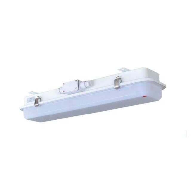 2*20W yacht boat fluorescent Pendant Light fixture with Emergency and guard JCY22-2EF