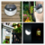 Led Wall Light Solar Powered Garden Lamp With Motion Sensor