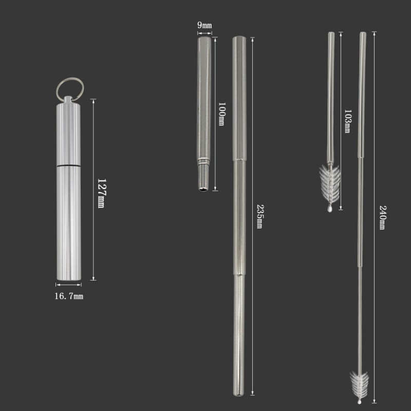 Portable Stainless Steel Straw Reusable Drinking Straws Telescopic Metal Straw with Cleaning Brush, Stainless Steel Carrying Cas