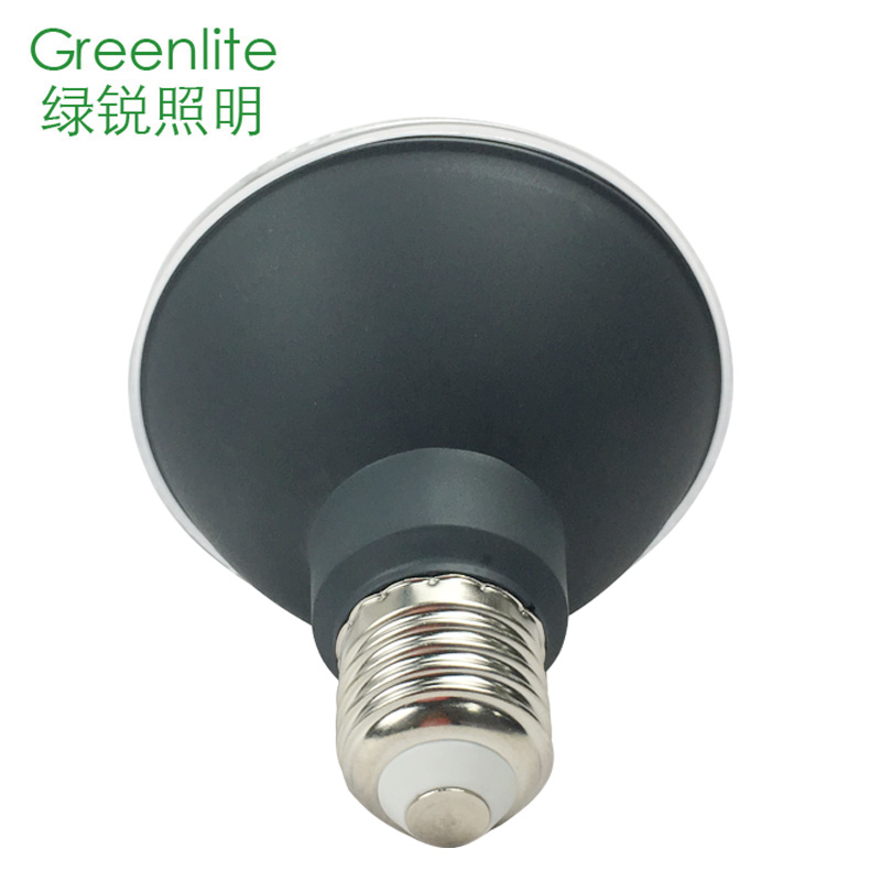 professional led par38 light china