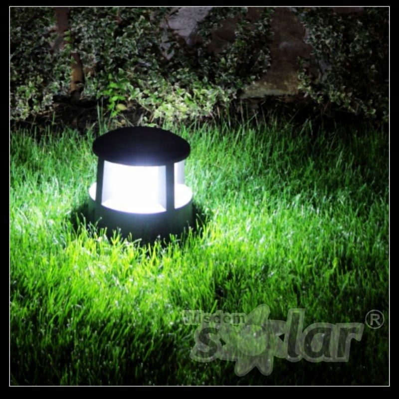 Supper Bright stainless steel solar powered led pathway light,decorative and brightening up you garden,street at night